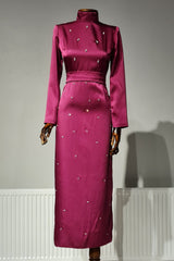 Serpme Taşlı Elbise